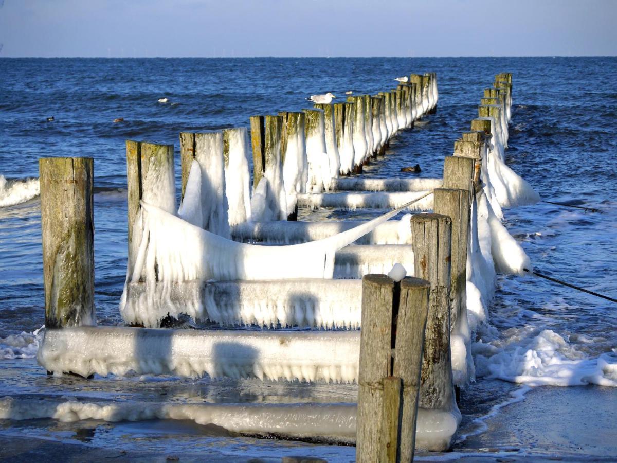 Kavelweg 13 Whg 4 - Kleiner Kaeptn Daire Zingst Dış mekan fotoğraf