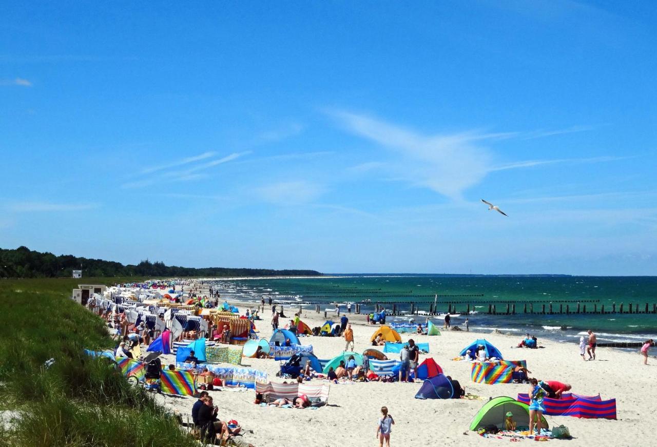 Kavelweg 13 Whg 4 - Kleiner Kaeptn Daire Zingst Dış mekan fotoğraf