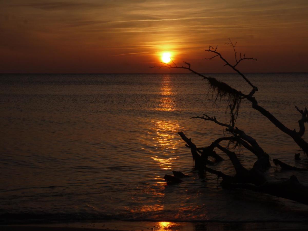 Kavelweg 13 Whg 4 - Kleiner Kaeptn Daire Zingst Dış mekan fotoğraf
