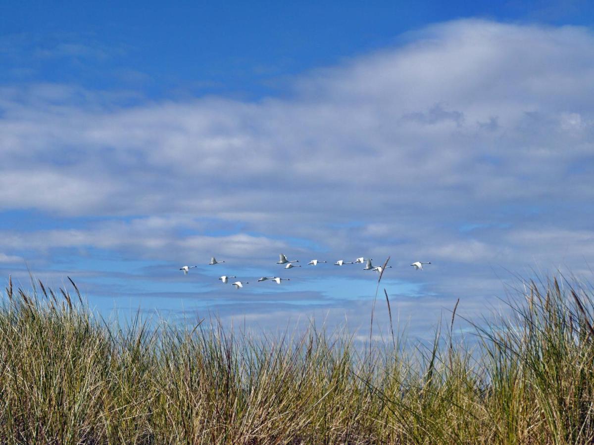 Kavelweg 13 Whg 4 - Kleiner Kaeptn Daire Zingst Dış mekan fotoğraf